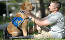 service animal hoa law accomodation attorneys disability.png