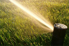 hoa-irrigation-sprinkler.jpg