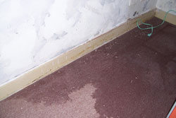 wet_carpet.jpg