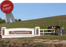 Meadowview