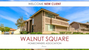 Walnut-Square-300x169